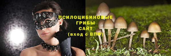 ALPHA-PVP Медногорск