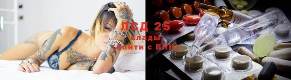 дурь Медвежьегорск