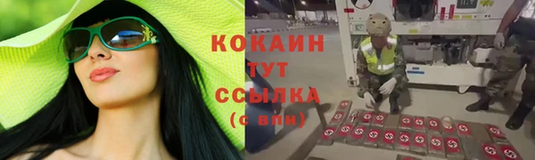 дурь Медвежьегорск
