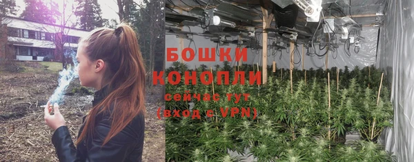 ALPHA-PVP Медногорск