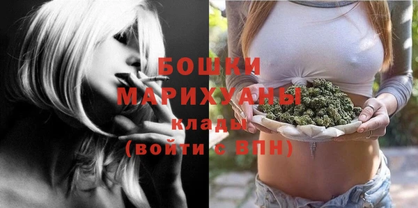 дурь Медвежьегорск