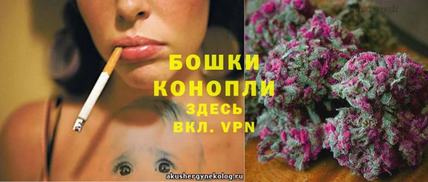 дурь Медвежьегорск