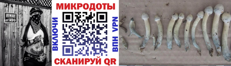 наркота  дарк нет формула  Галлюциногенные грибы прущие грибы  Емва 